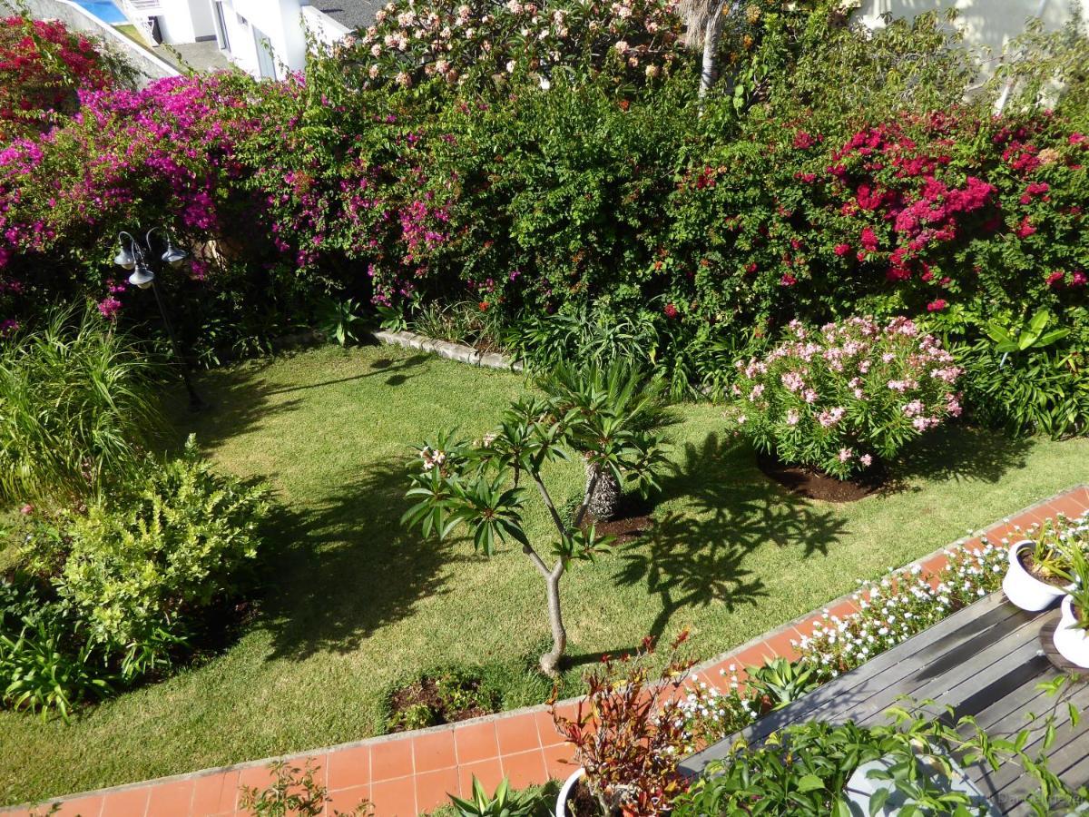 Villa Erika Madeira Caniço Dış mekan fotoğraf